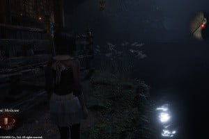Fatal Frame II: Crimson Butterfly Remake Screenshot