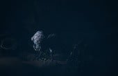 The Midnight Walk - Screenshot 5 of 10