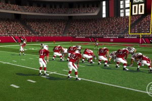 Madden NFL 10 Screenshot