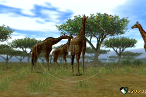 Animal Kingdom: Wildlife Expedition Screenshot