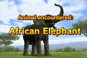 Animal Kingdom: Wildlife Expedition Screenshot