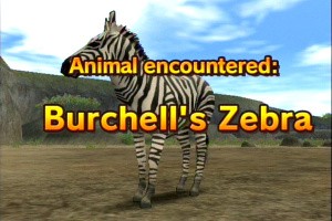 Animal Kingdom: Wildlife Expedition Screenshot