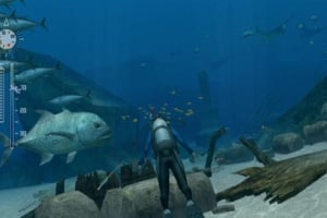 Endless Ocean 2: Adventures of the Deep Screenshot