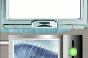 Pet Pals: New Leash on Life Screenshot