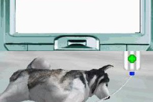 Pet Pals: New Leash on Life Screenshot