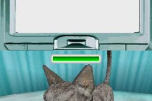 Pet Pals: New Leash on Life Screenshot