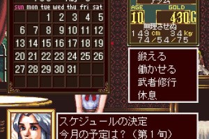 Princess Maker - Legend of Another World Screenshot