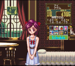 Princess Maker - Legend of Another World Review - Screenshot 5 of 5