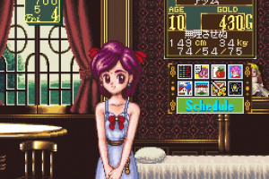 Princess Maker - Legend of Another World Screenshot