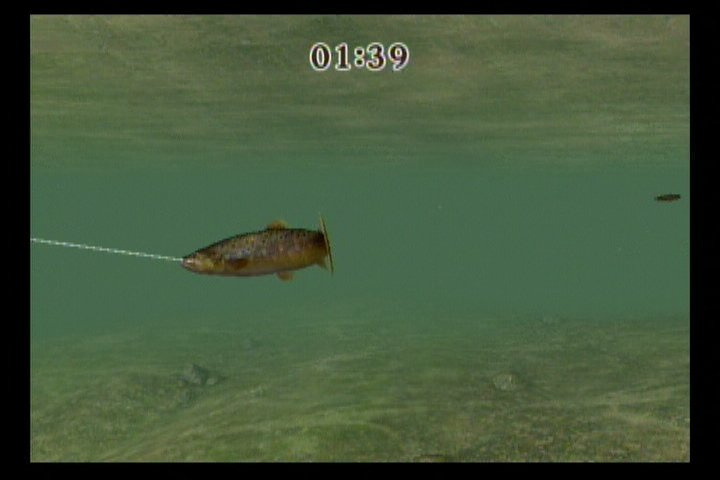 Reel Fishing Challenge Review (WiiWare)