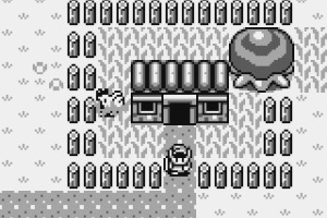 The Legend of Zelda: Link's Awakening Screenshot