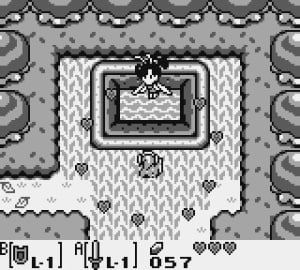 The Legend of Zelda: Link's Awakening Review - Screenshot 1 of 3