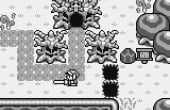 The Legend of Zelda: Link's Awakening - Screenshot 1 of 8