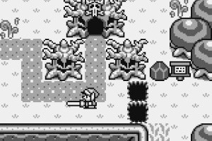 The Legend of Zelda: Link's Awakening Screenshot