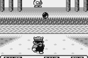 Wario Land: Super Mario Land 3 Screenshot