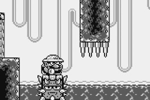 Wario Land: Super Mario Land 3 Screenshot