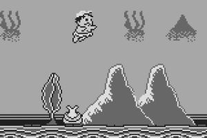 Adventure Island Screenshot