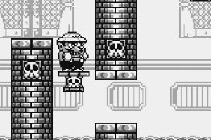 Wario Land: Super Mario Land 3 Screenshot