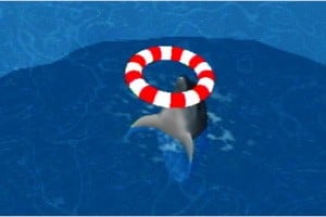 My Dolphin Screenshot