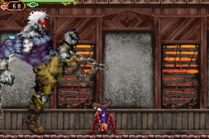 Castlevania: Order of Ecclesia Screenshot