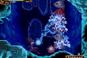 Castlevania: Order of Ecclesia Screenshot