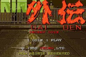 Ninja Gaiden Screenshot