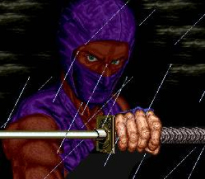 Ninja Gaiden Review - Screenshot 3 of 3