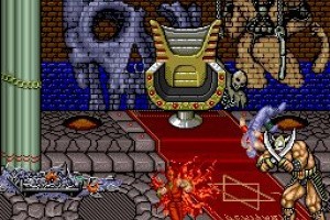 Ninja Gaiden Screenshot