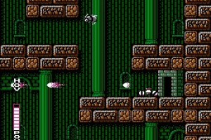 Blaster Master Screenshot