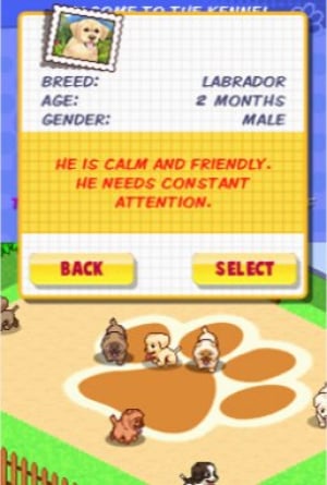 Me and My Dogs: Friends Forever Review - Screenshot 3 of 3