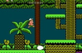 Adventure Island II - Screenshot 9 of 10