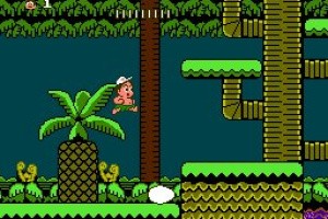 Adventure Island II Screenshot