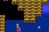 Adventure Island II - Screenshot 4 of 10