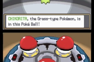 Pokémon HeartGold & SoulSilver Screenshot