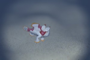 Endless Ocean 2: Adventures of the Deep Screenshot