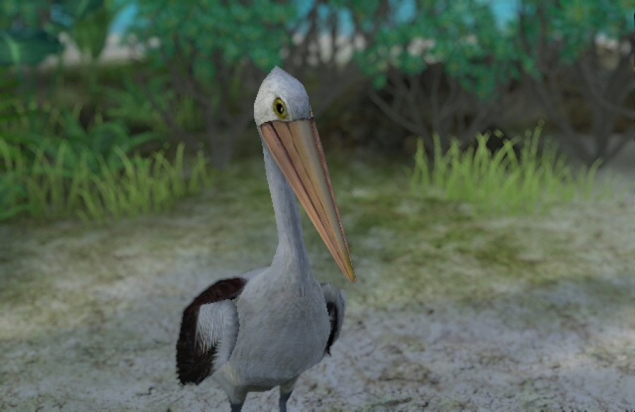 Endless Ocean 2: Adventures of the Deep Review - Screenshot 3 of 5