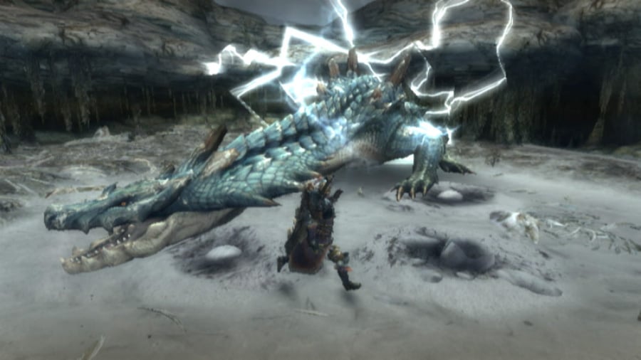 Monster Hunter 3 (Tri~) Review - Screenshot 3 of 4