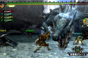 Monster Hunter 3 (Tri~) Screenshot