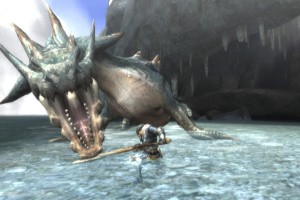 Monster Hunter 3 (Tri~) Screenshot