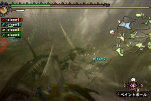 Monster Hunter 3 (Tri~) Screenshot