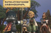 Final Fantasy: Crystal Chronicles - Screenshot 10 of 10