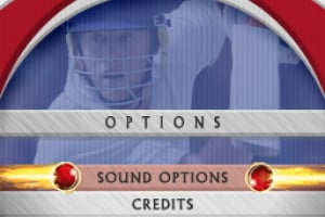 Freddie Flintoff's Power Play Cricket Screenshot