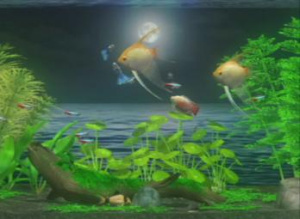 Zenquaria: Virtual Aquarium Review - Screenshot 1 of 2