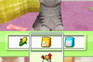 Petz Kittens Screenshot