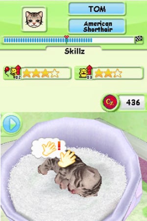 Petz Nursery 2 - Nintendo DS