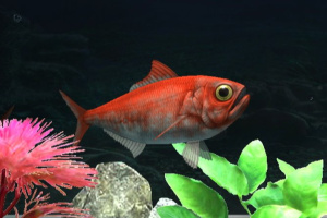 My Aquarium 2 Screenshot