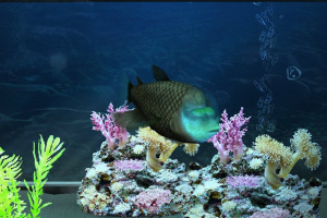 My Aquarium 2 Screenshot