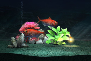 My Aquarium 2 Screenshot