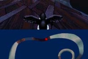 Puffins: Let's Race! Screenshot