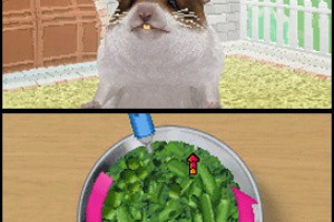 Petz Hamsterz Family Screenshot